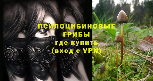 дживик Алексин