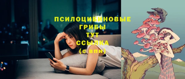 дживик Алексин